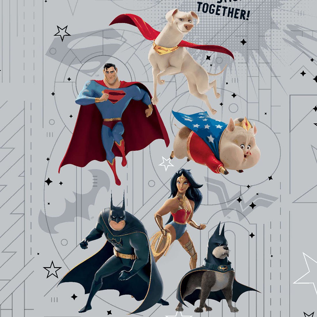 Super Pets Tooniforms Licensed DC Comics V Neck Scrub Top TF627 DSPE - Scrubs Select